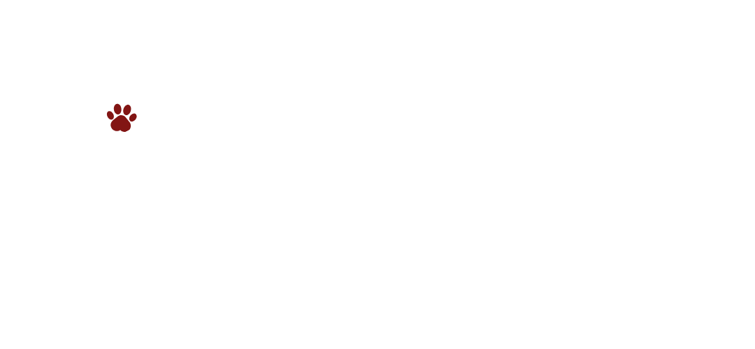 Jasmin FelicianoLogo White
